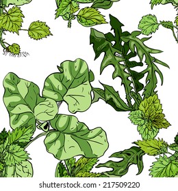 Seamless pattern with herbs: burdock, nettle, dandelion