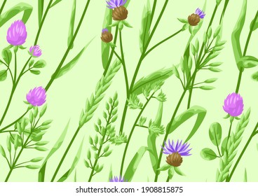 Seamless pattern with herbs and cereal grass. Floral ornament of meadow plants.