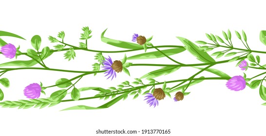 Seamless pattern with herbs and cereal grass. Floral ornament of meadow plants.