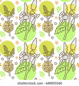 Seamless pattern with herbs. Floral background. Summer print, wallpaper