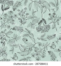 Seamless pattern with herbs light green background. Vector illustration for your design