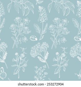Seamless pattern with herbs on blue background. Vector illustration for your design