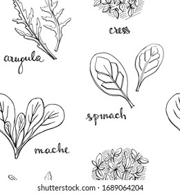 Seamless pattern with herbs and salad leaves: spinach, mache, cress, arugula/ Hand drawn black and white background/ Vector illustration