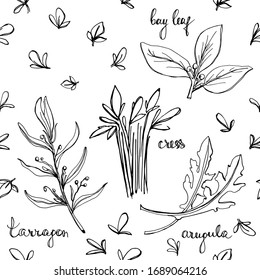 Seamless pattern with herbs and salad leaves: arugula, bay leaf, cress, tarragon/ Hand drawn black and white background/ Vector illustration