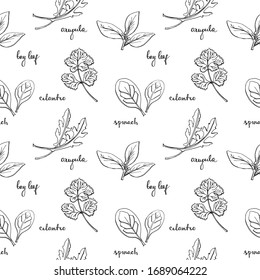 Seamless pattern with herbs and salad leaves: spinach, bay leaf, cilantro, arugula/ Hand drawn black and white background/ Vector illustration