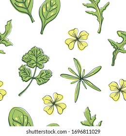 Seamless pattern with herbs and salad leaves: spinach, arugula, tarragon, coriander/ Hand drawn colorful background/ Vector illustration