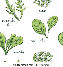 Seamless pattern with herbs and salad leaves: spinach, arugula, cress, mache/ Hand drawn colorful background/ Vector illustration