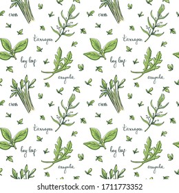 Seamless pattern with herbs and salad leaves: bay leaf, cress, tarragon, arugula/ Hand drawn colorful background/ Vector illustration