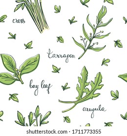 Seamless pattern with herbs and salad leaves: bay leaf, cress, tarragon, arugula/ Hand drawn colorful background/ Vector illustration
