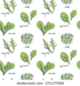 Seamless pattern with herbs and salad leaves: spinach, arugula, cress, mache/ Hand drawn colorful background/ Vector illustration