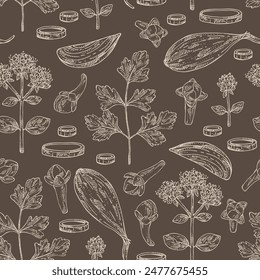 Seamless pattern with herbs and spices: clove tree, parsley, origanum vulgare, shallot. Vector hand drawn illustration.