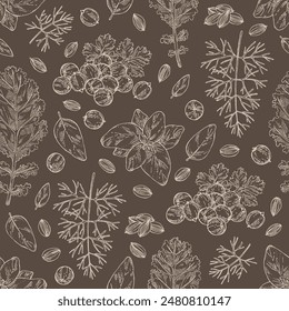 Seamless pattern with herbs and spices: coriander, cilantro, basil, dill, kale plant. Vector hand drawn illustration.