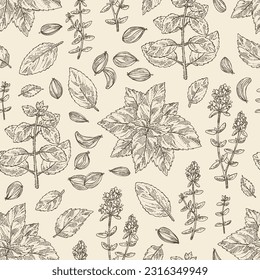 Seamless pattern with herbs and spices: flowers of thyme, perilla, tulasi, holy basil, azhgon seeds. Vector hand drawn illustration.
