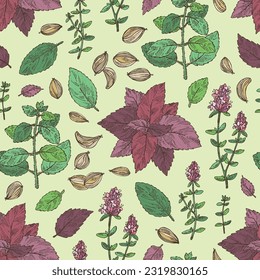 Seamless pattern with herbs and spices: flowers of thyme, perilla, tulasi, holy basil, azhgon seeds. Vector hand drawn illustration.