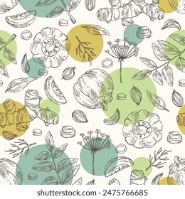 Seamless pattern with herbs and spices: garcinia cambogia, turmeric, curry tree, azhgon seeds. Vector hand drawn illustration.