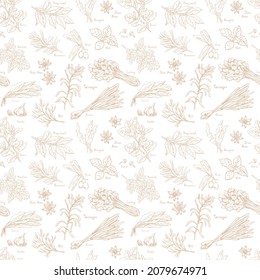 Seamless pattern with herbs and spices hand drawn with ink lines in doodle sketch style. Rosemary, basil, onion, sage, dill, bay leaf, garlic, star anise, cloves.Vector For kitchen fabrics, menu,cover