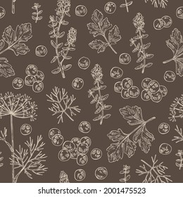 Seamless pattern with herbs and spices: leaves and flowers of thyme, black pepper, dill leaves and seeds and parsley. Vector hand drawn illustration.