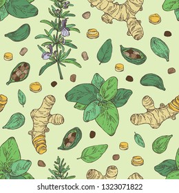 Seamless pattern with herbs and spices: rosemary, turmeric root, basil and cardamom. Vector hand drawn illustration.