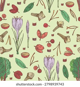Seamless pattern with herbs and spices: saffron, clove tree, sichuan pepper, chard. Vector hand drawn illustration.