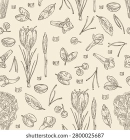 Seamless pattern with herbs and spices: saffron, clove tree, sichuan pepper, chard. Vector hand drawn illustration.