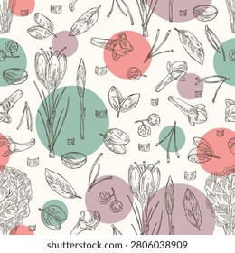 Seamless pattern with herbs and spices: saffron, clove tree, sichuan pepper, chard. Vector hand drawn illustration.
