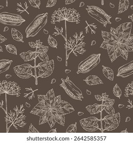 Seamless pattern with herbs and spices: sesame seeds, dill leaves, perilla, holy basil, tulasi. Vector hand drawn illustration.