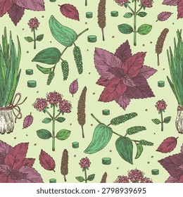 Seamless pattern with herbs and spices: shallots, perilla, origanum vulgare, long pepper. Vector hand drawn illustration.