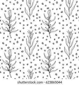 Seamless pattern with herbs and spices: tarragon sprig and coriander seeds/ Hand drawn black and white background/ Vector illustration