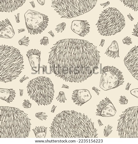 Seamless pattern with hericium erinaceus: piece of lion's mane mushroom, hericium erinaceus mushrooms. Vector hand drawn mushroom illustrations