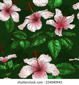 Seamless pattern with Hibiscus flowers