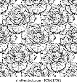 Seamless pattern of highly detailed hand drawn roses isolated on white background. Vector