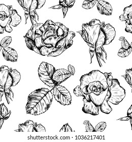 Seamless pattern of highly detailed hand drawn roses isolated on white background. Vector