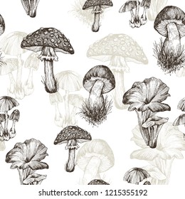 Seamless pattern of highly detailed hand drawn mushrooms on white background. Vector design. Forest nature.