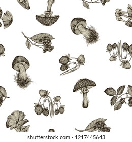 Seamless pattern of highly detailed hand drawn mushrooms and berries on white background. Vector design. Forest nature.