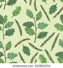 Seamless pattern with holly broadleaf: plant, kudin leaves and holly broadleaf dry leaves. Kudin tea. Vector hand drawn illustration.