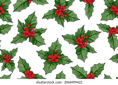 Seamless pattern of holly, color vector illustration