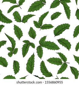 seamless pattern holly, ilex branch with berry and leaves on white background. design holiday greeting cards and invitations of Merry Christmas and Happy New Year, seasonal winter holidays