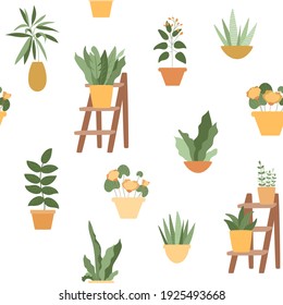 Seamless pattern with home plants in yellow and orange pots. Succulents, abstract flowers, lush foliage on decorative wooden stand ladder. Vector illustration isolated on white background