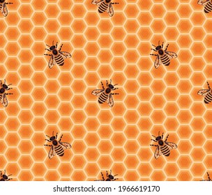 Seamless pattern with honey bee inside beehive. Honeycomb cells. Beekeeping concept. Vector background with bees.