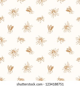 Seamless pattern with honey bees drawn with contour lines on light background. Apiculture or beekeeping backdrop. Monochrome vector illustration in elegant antique style for wrapping paper, wallpaper.