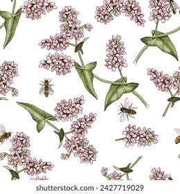 Seamless pattern with honeybees pollinating blooming buckwheat plants