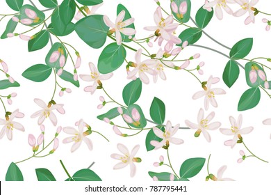 Seamless pattern with honeysuckle