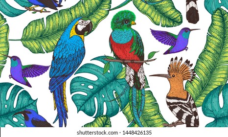 Seamless pattern with hoopoe, hummingbird, quetzal, ara parrot, purple honeycreeper. Animals and palm leaves illustration. Tropical birds. Hand drawn vector illustration.