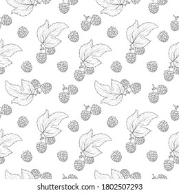 Seamless pattern with hop cones in engraving style. Vintage texture for pub or wallpaper. Vector isolated illustration. Menu background.