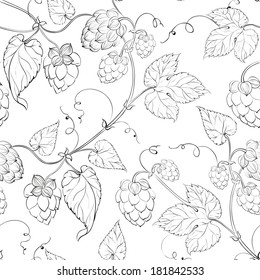 Seamless pattern hop. Vector illustration.