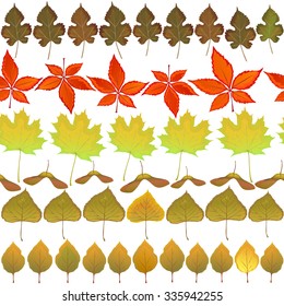 seamless pattern of horizontal rows of autumn leaves