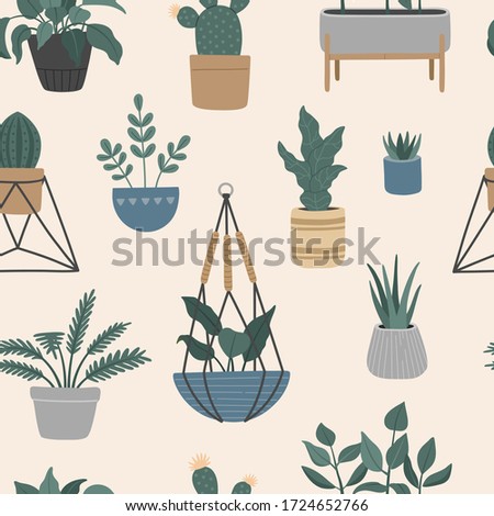 Seamless pattern of house plants in hanging pots, Scandinavian interior with plant holder. Vector illustration, flat cartoon style. 