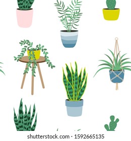 Seamless pattern of house plants isolated on white background. Potted plants. Vector illustration in flat style. Home decoration. Growing plants.