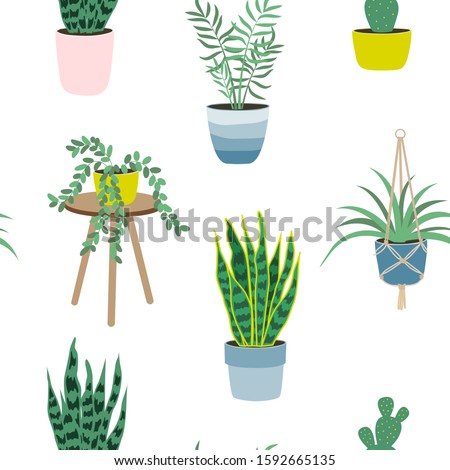 Seamless pattern of house plants isolated on white background. Potted plants. Vector illustration in flat style. Home decoration. Growing plants.