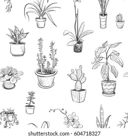 Seamless pattern with house plants in pots. Vector sketches on white background